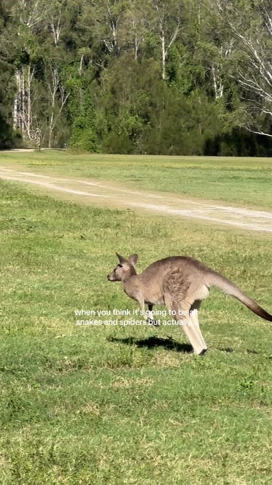 Post 4 by Sammy | Brit on the Gold Coast on TikTok (video)