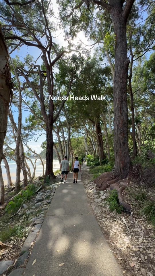 Post 3 by Sammy | Brit on the Gold Coast on TikTok (video)