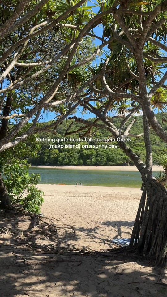 Post 7 by Sammy | Brit on the Gold Coast on TikTok (video)