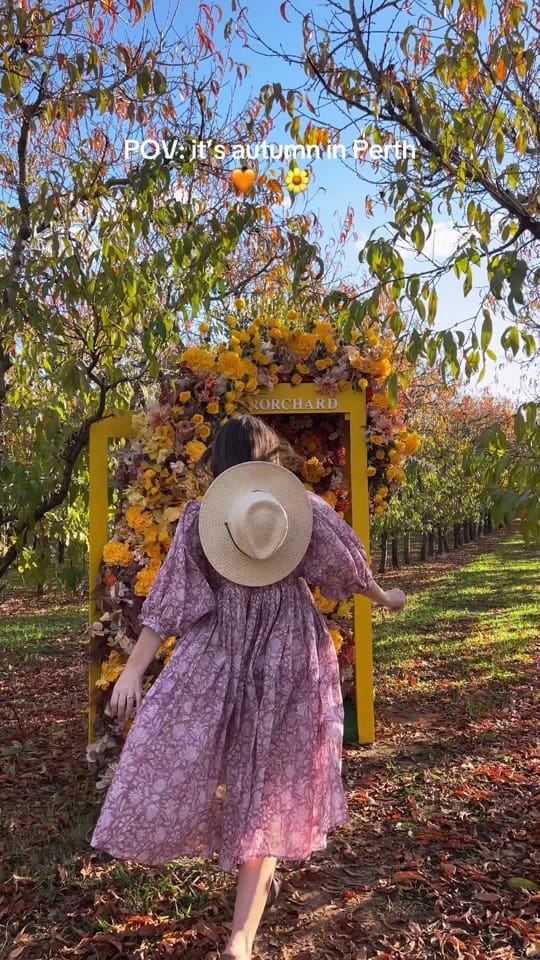 Post 9 by Tess | Perth Blogger on TikTok (video)