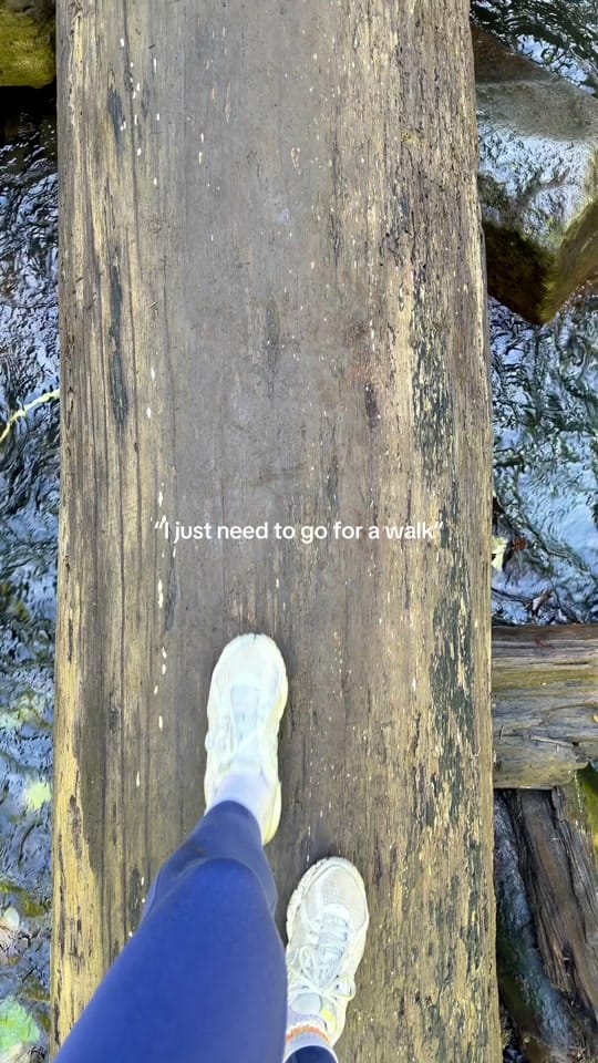Post 8 by Shay on TikTok (video)