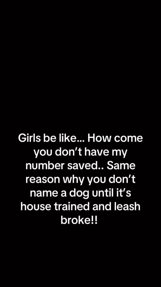 Post 5 by Just a dad! on TikTok (video)