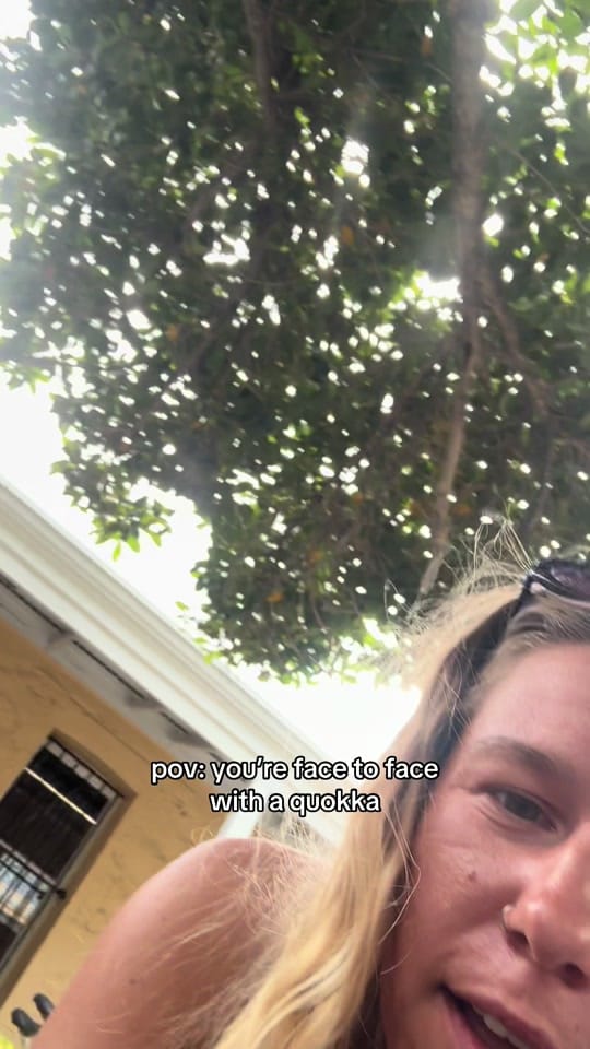 Post 3 by alina on TikTok (video)