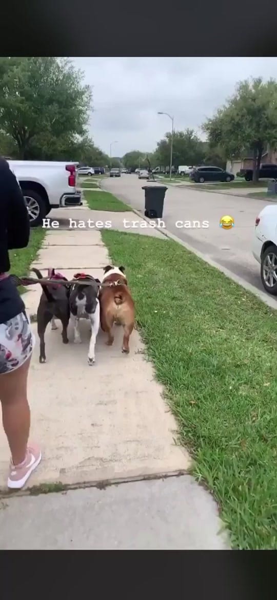 Post 3 by TellisKennedy on TikTok (video)