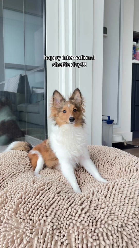 Post 1 by Kimberlee on TikTok (video)
