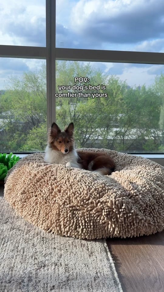 Post 7 by Kimberlee on TikTok (video)