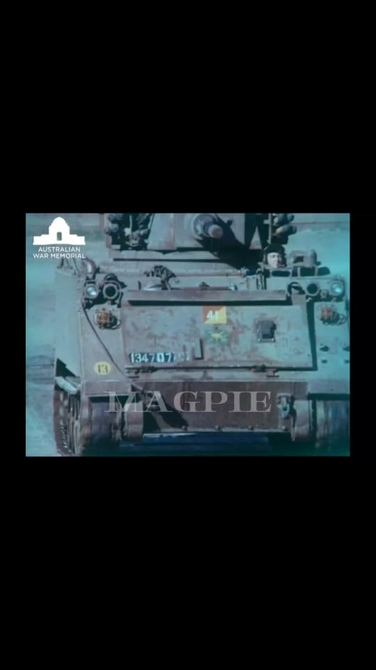 Post 4 by 🇦🇺Magpie🇦🇺 on TikTok (video)