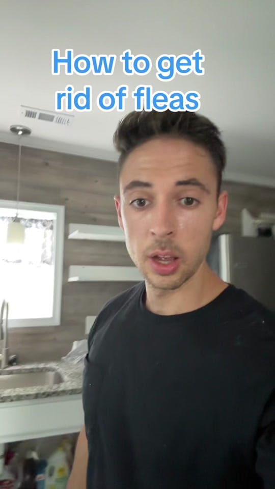 Post 4 by Dillon Dull on TikTok (video)