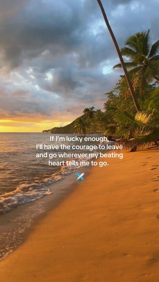 Post 5 by samantha 🇦🇺✈️🦜 on TikTok (video)