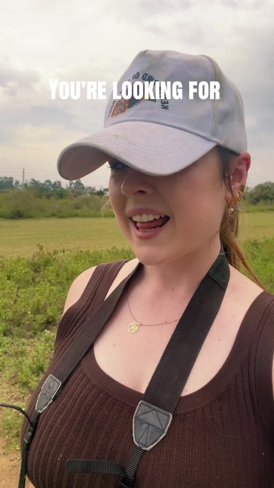 Post 10 by samantha 🇦🇺✈️🦜 on TikTok (video)