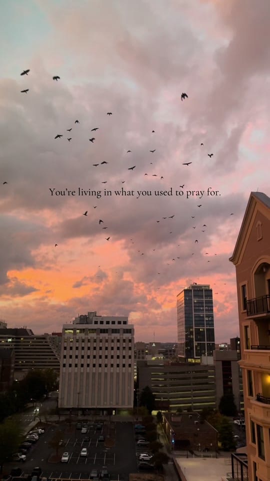 Post 3 by Lily Maharg on TikTok (video)