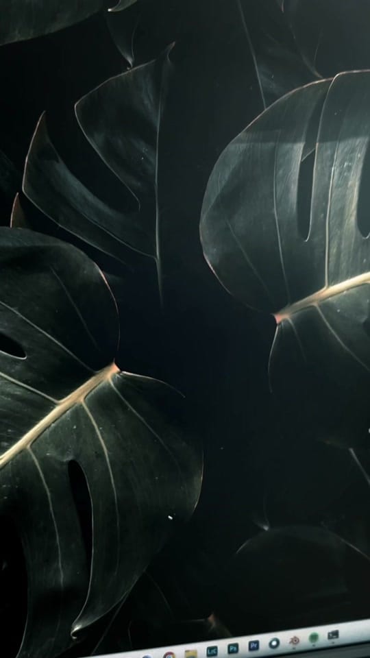 Post 2 by @coreycrawfordimagery on TikTok (video)