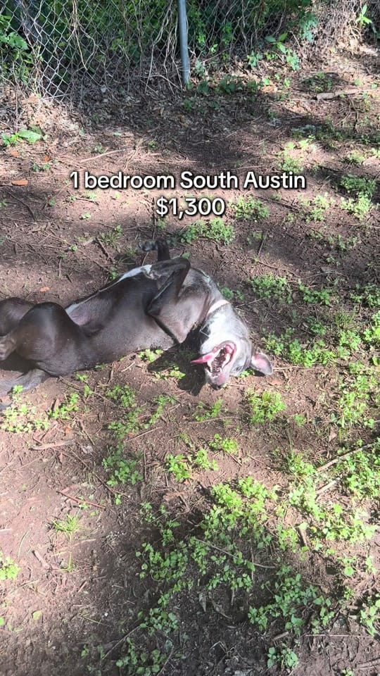 Post 7 by locatingaustintx on TikTok (video)