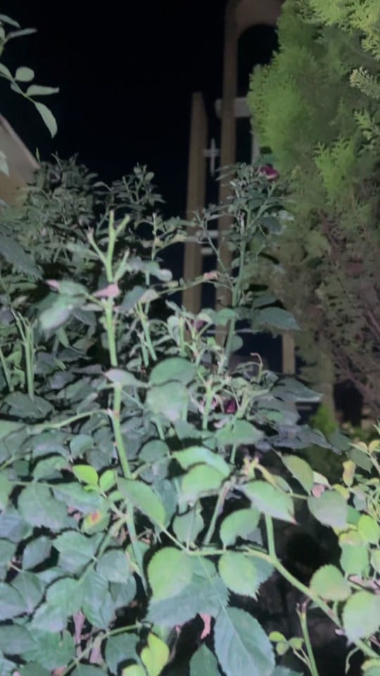 Post 10 by 🇦🇺_NaGHaM.AbbA_🇮🇶 on TikTok (video)