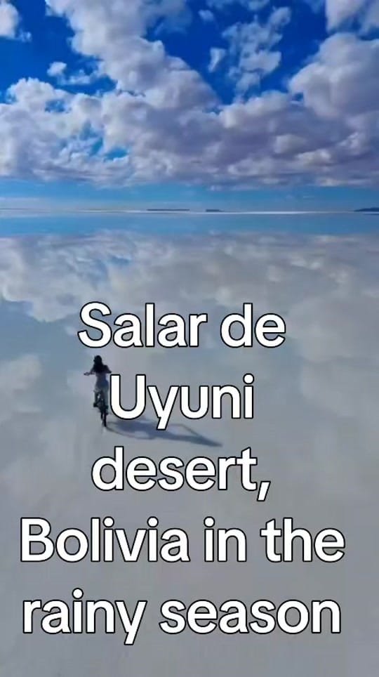 Post 6 by Sandi Niosi on TikTok (video)