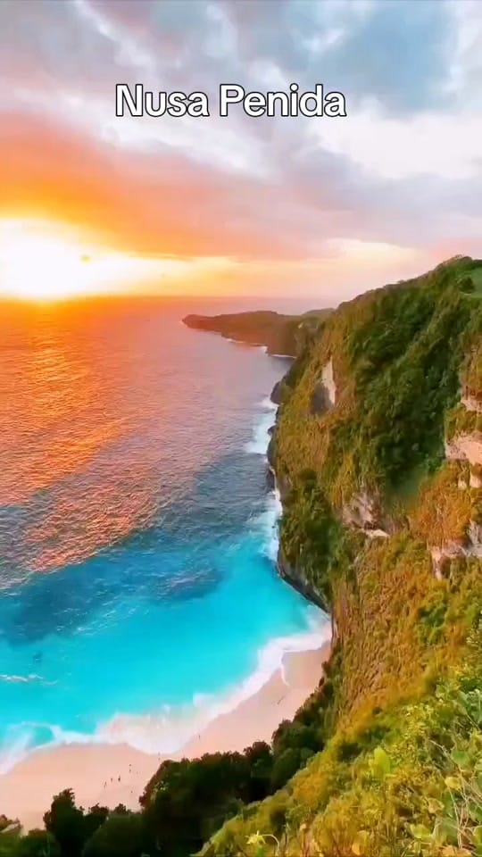 Post 8 by Sandi Niosi on TikTok (video)