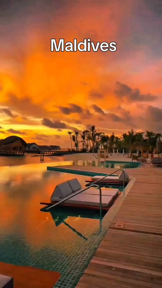 Post 1 by Sandi Niosi on TikTok (video)