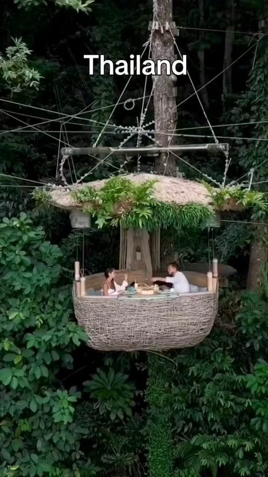 Post 4 by Sandi Niosi on TikTok (video)