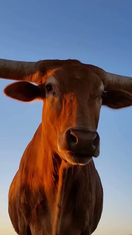 Post 9 by Benjamin Beaver Real Estate on TikTok (video)