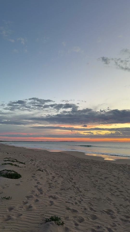 Post 7 by LifeTalesOfLampe on TikTok (video)