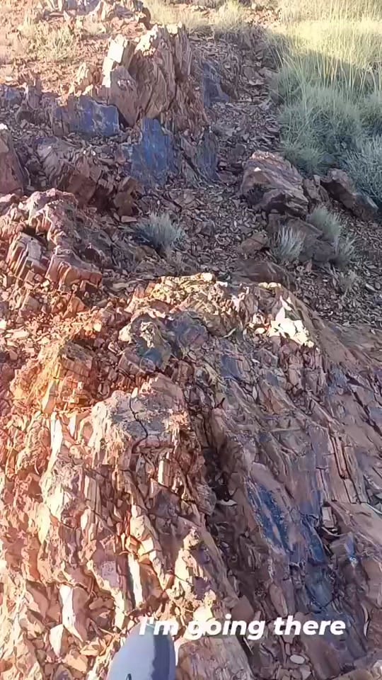 Post 7 by Guy Raymond Priest on TikTok (video)