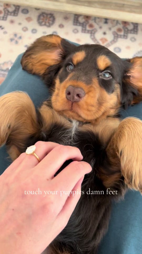 Post 1 by Amelia Snell on TikTok (video)