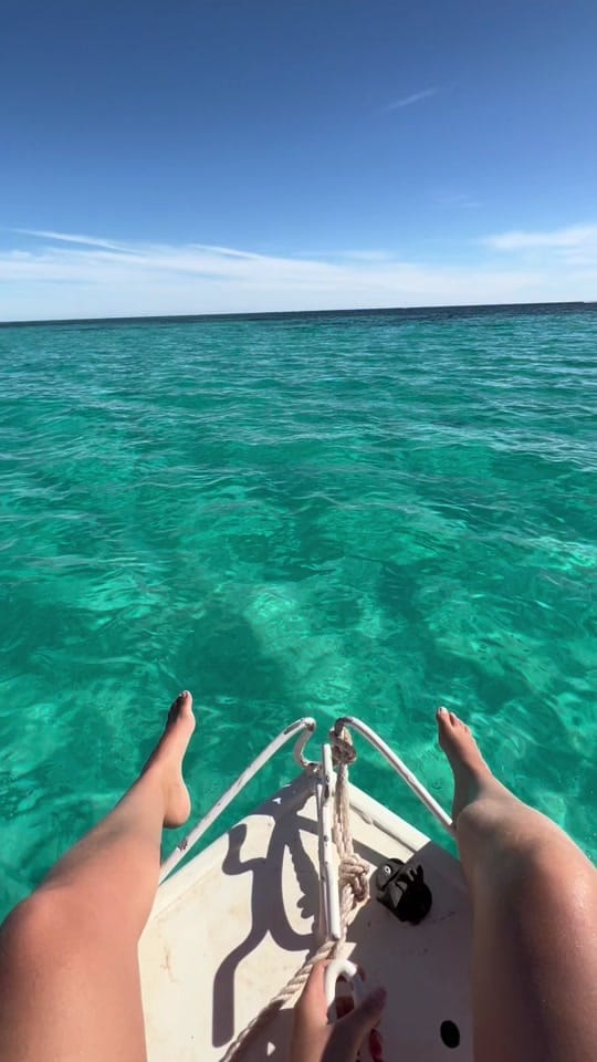 Post 7 by Amelia Snell on TikTok (video)