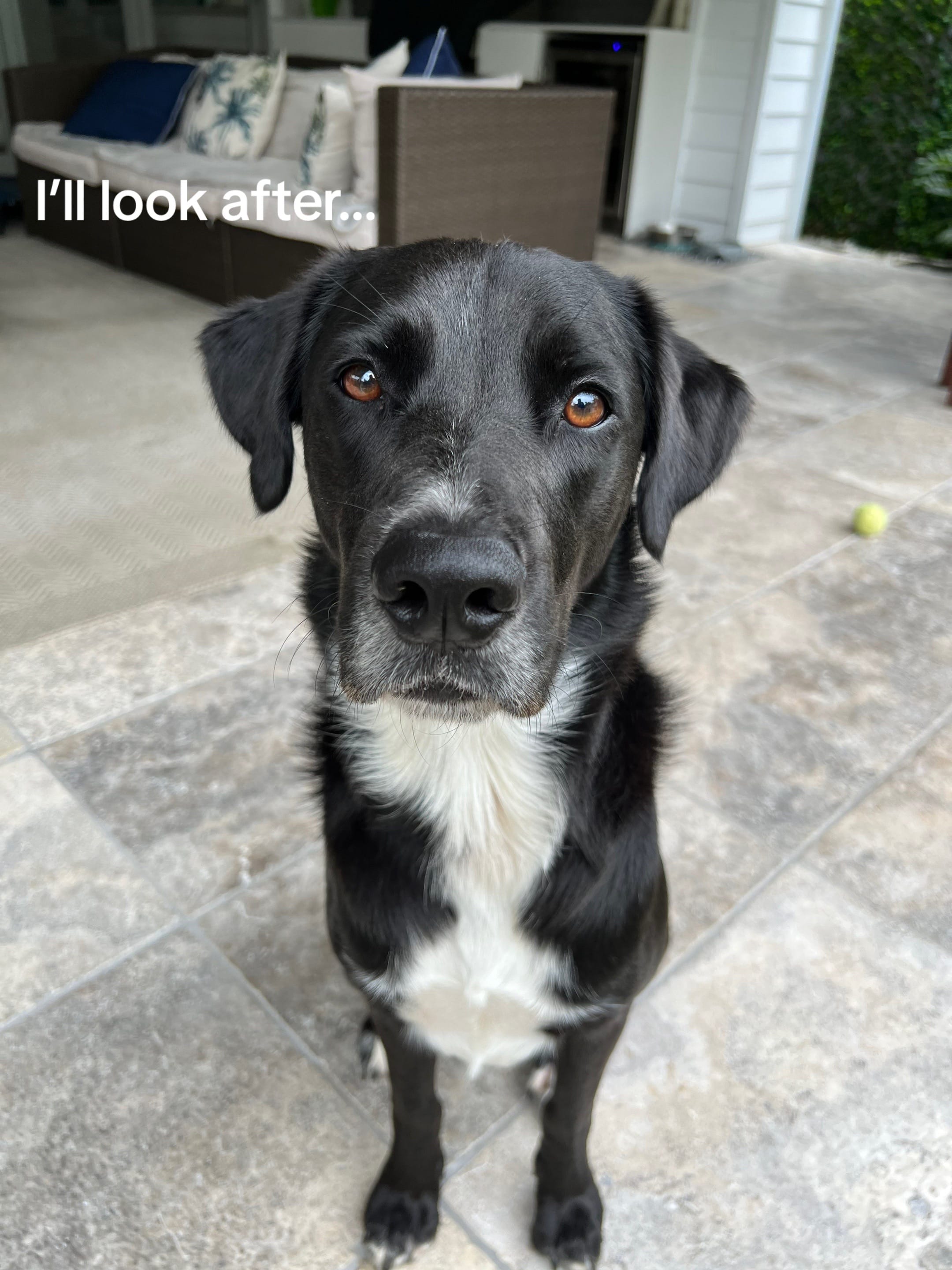 Post 4 by Amelia Snell on TikTok (video)