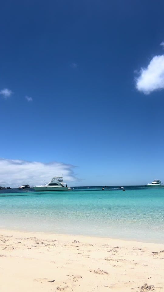 Post 7 by Will Jackson on TikTok (video)
