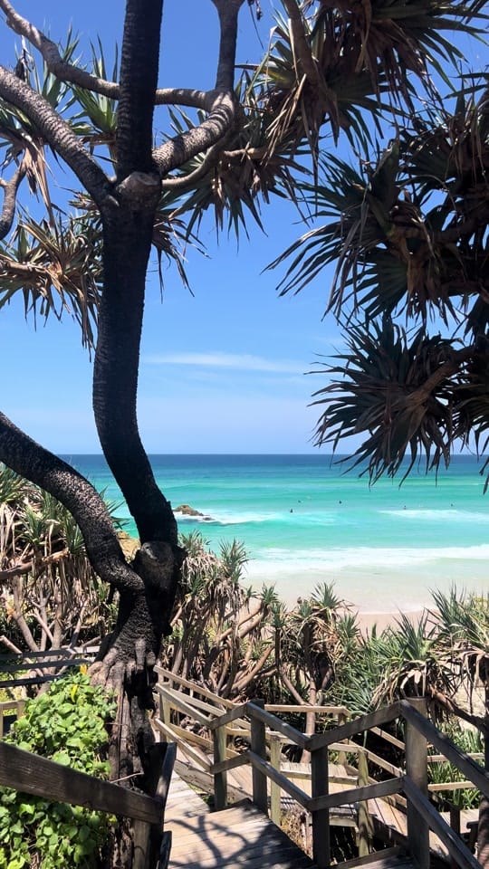 Post 3 by Will Jackson on TikTok (video)