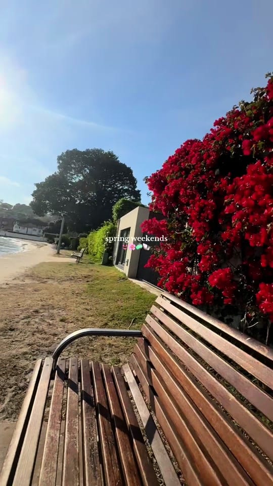 Post 6 by Francesca ✨ on TikTok (video)