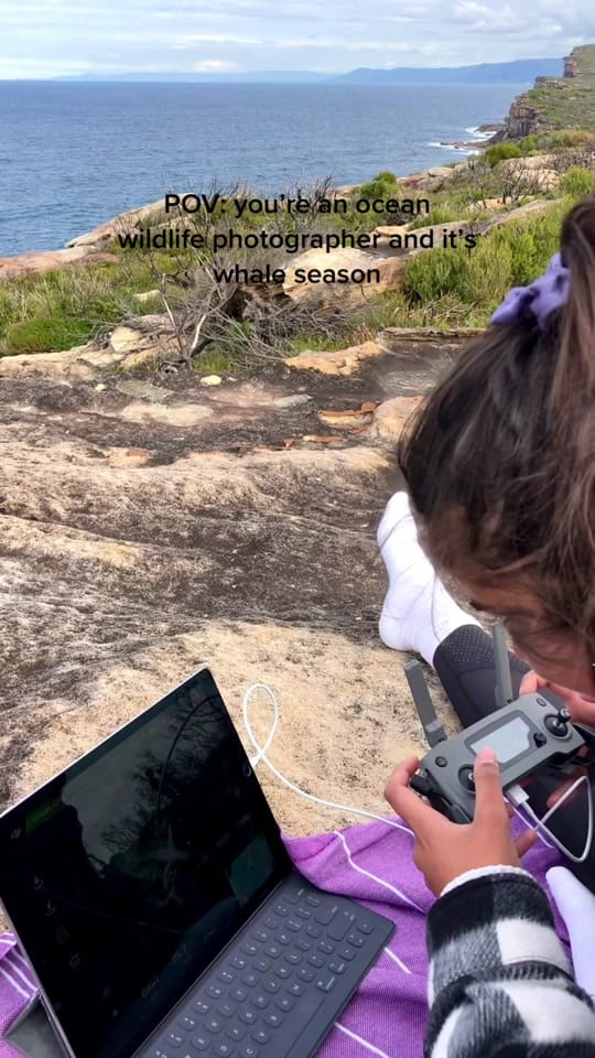 Post 9 by Francesca ✨ on TikTok (video)