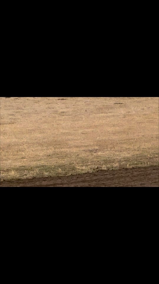 Post 6 by Ellen on TikTok (video)