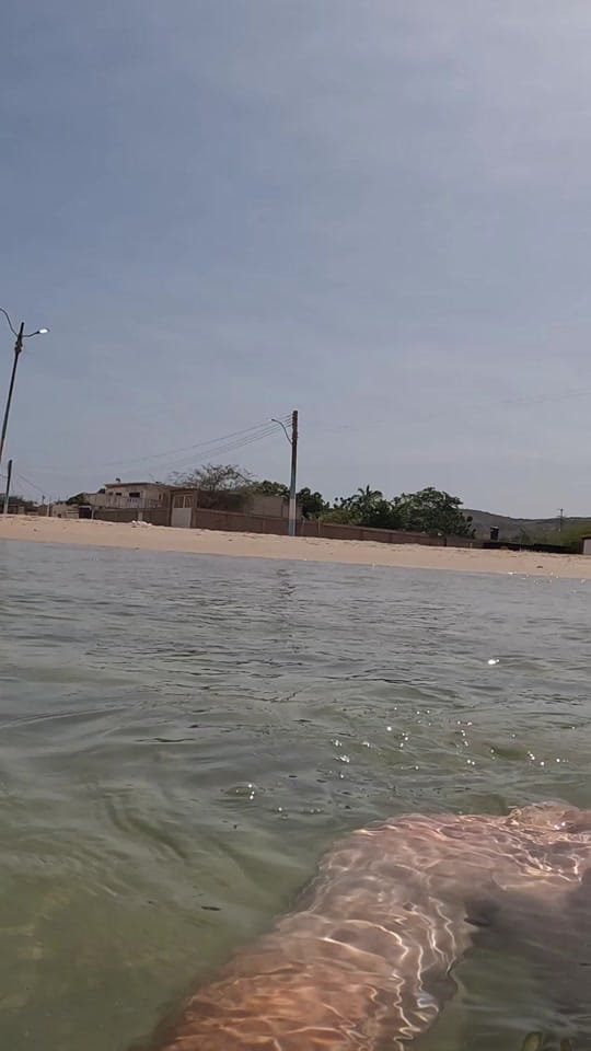 Post 6 by What Phill's doin' on TikTok (video)