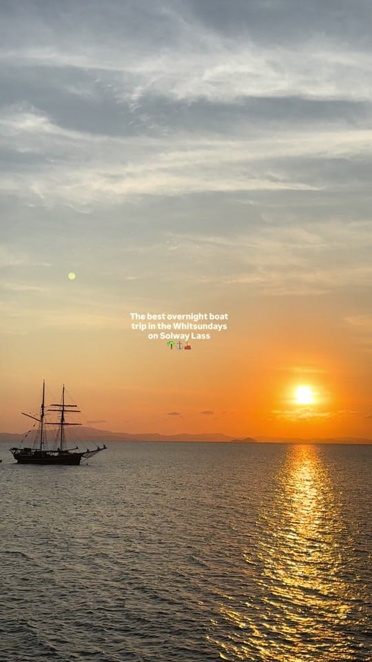 Post 8 by felicity 🪬 on TikTok (video)