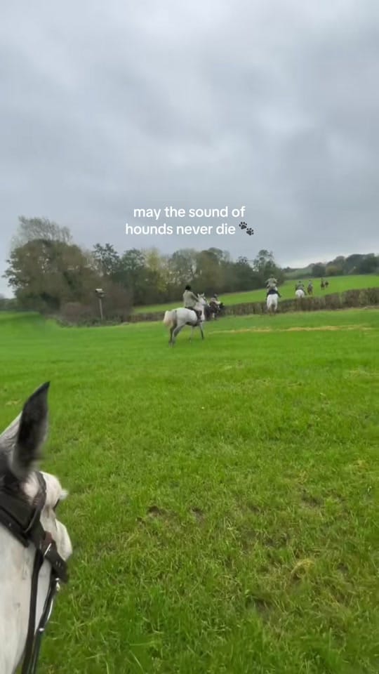 Post 3 by felicity 🪬 on TikTok (video)