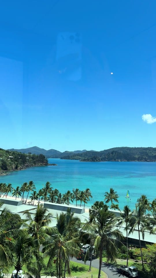 Post 9 by felicity 🪬 on TikTok (video)