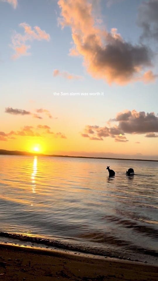 Post 2 by felicity 🪬 on TikTok (video)