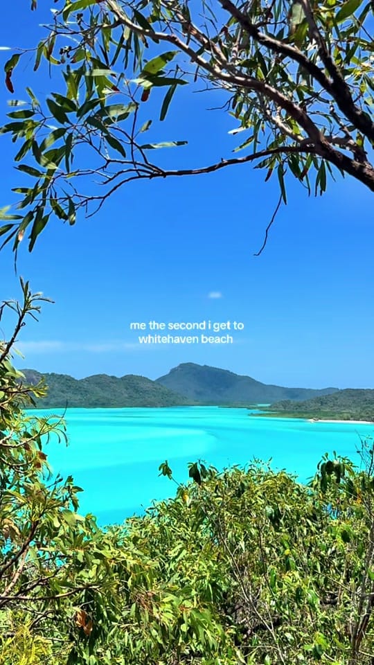 Post 6 by felicity 🪬 on TikTok (video)