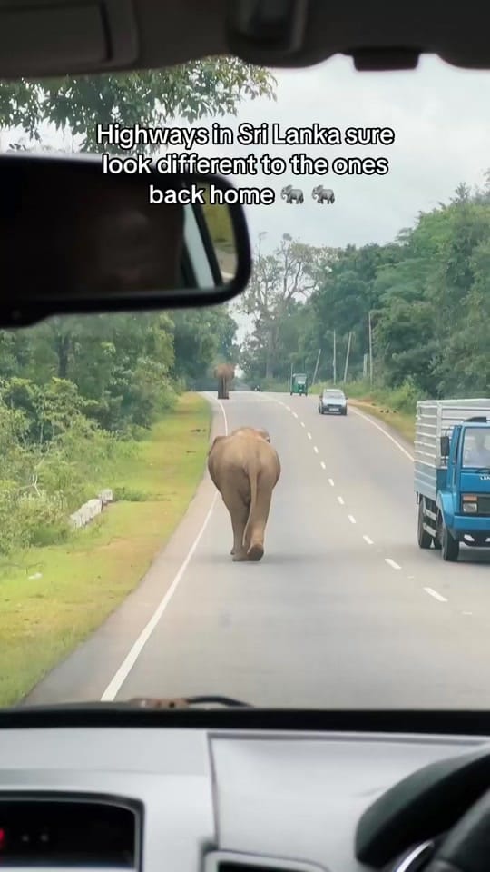 Post 7 by One World Just Go on TikTok (video)