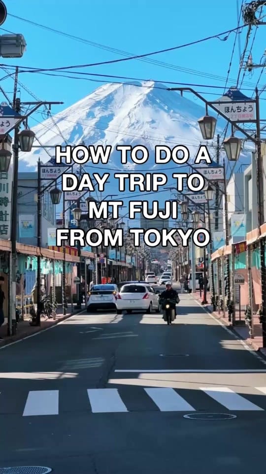 Post 8 by One World Just Go on TikTok (video)