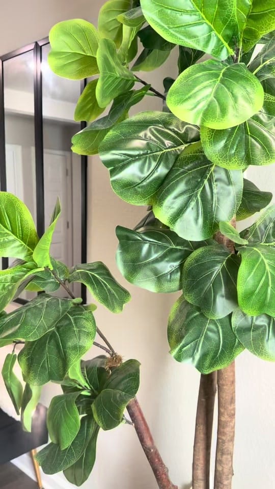 Post 6 by Perfectly._Fantasia🎀 on TikTok (video)