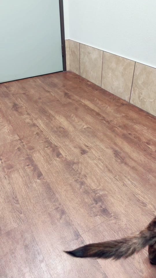 Post 7 by Realtor Cindy on TikTok (video)