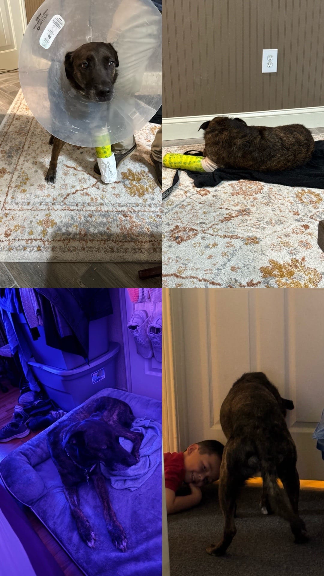 Post 6 by Realtor Cindy on TikTok (video)