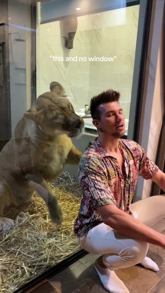 Post 10 by Christian Betzmann on TikTok (video)