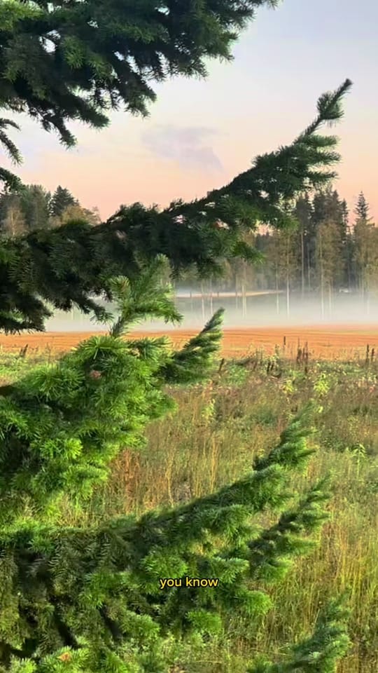 Post 5 by Kurk on TikTok (video)
