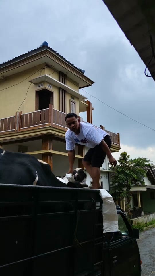 Post 7 by villa batu malang on TikTok (video)