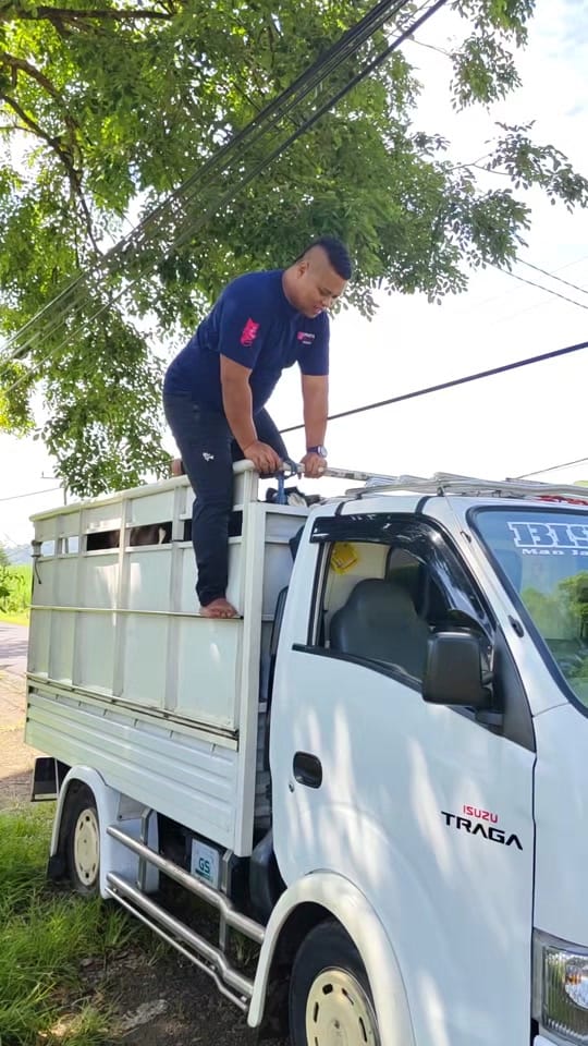 Post 1 by villa batu malang on TikTok (video)