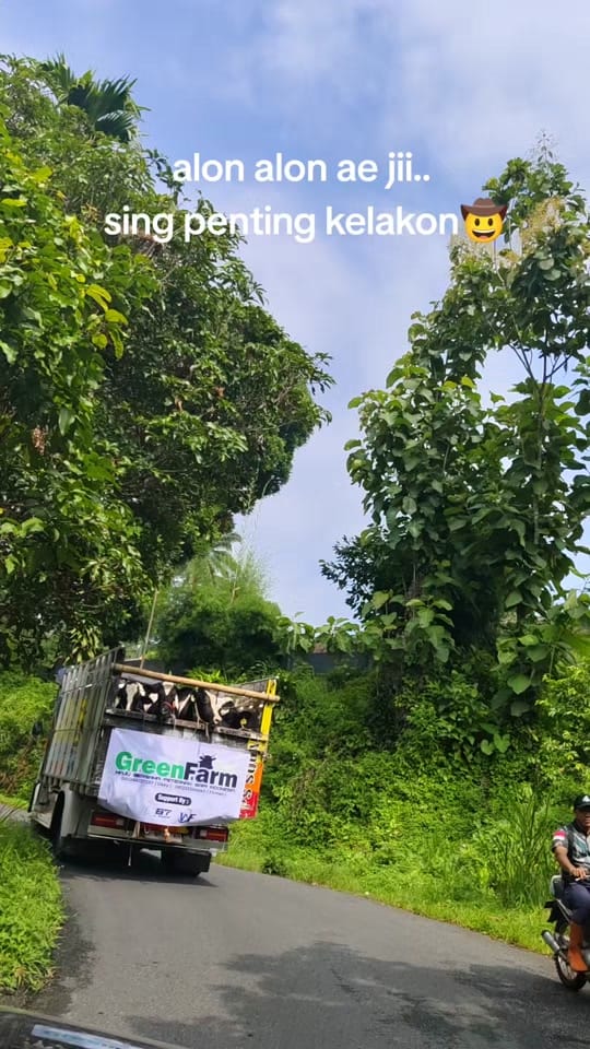 Post 6 by villa batu malang on TikTok (video)