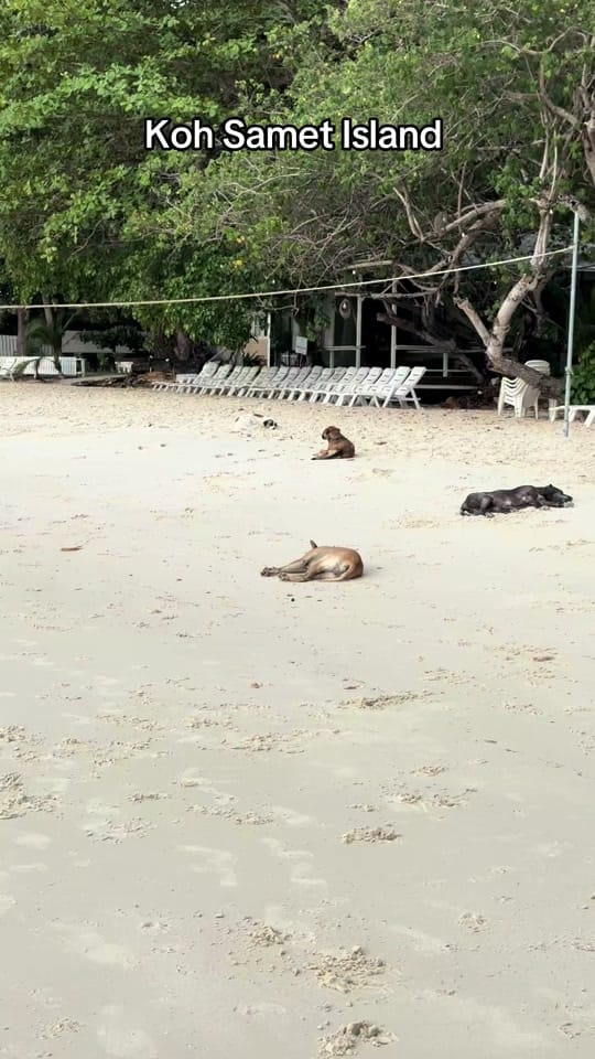 Post 1 by TTSWTravel on TikTok (video)